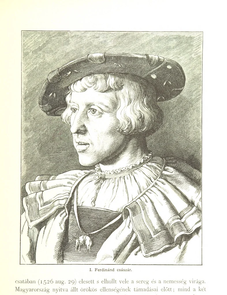 An illustration from Az Osztrák-Magyar Monarchia irásban és képben. Rudolf trónörökös főherczeg Ő ... fensége kezdeményezéséből és közremunkálásával. (Die deutsche Ausgabe redigirt ... J. von Weilen, die ungarische M. Jókai.) Hung, 1885, leaf 427