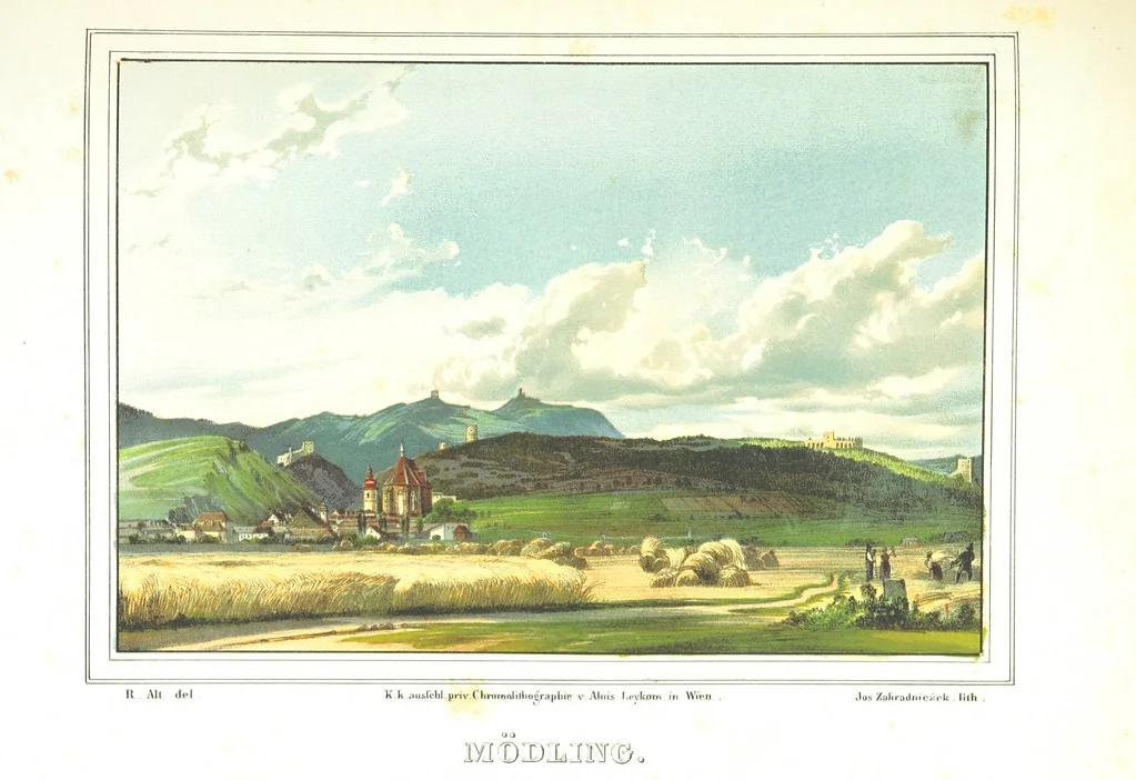An illustration from Das pittoreske Oesterreich, oder Album der österreichischen Monarchie ... Von einer Gesellschaft Gelehrter und Künstler, 1840, leaf 341