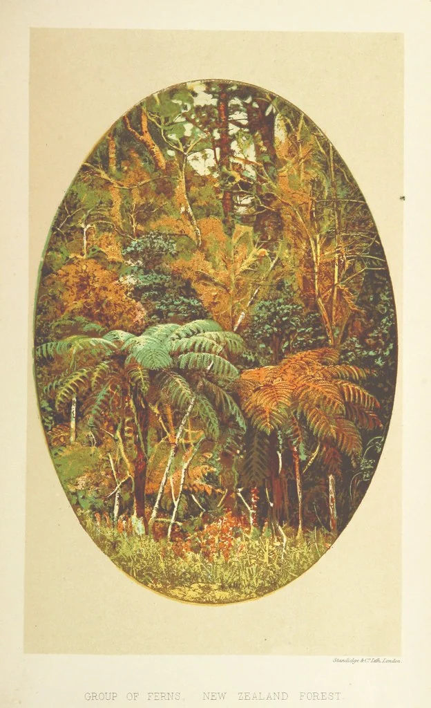 An illustration from The Cruise round the World of the Flying Squadron 1869-1870, under the command of Rear Admiral G. T. Phipps-Hornby. (Compiled by J. B., with the assistance of Henry Cavendish.) [With plates and a map, 1871, leaf 213