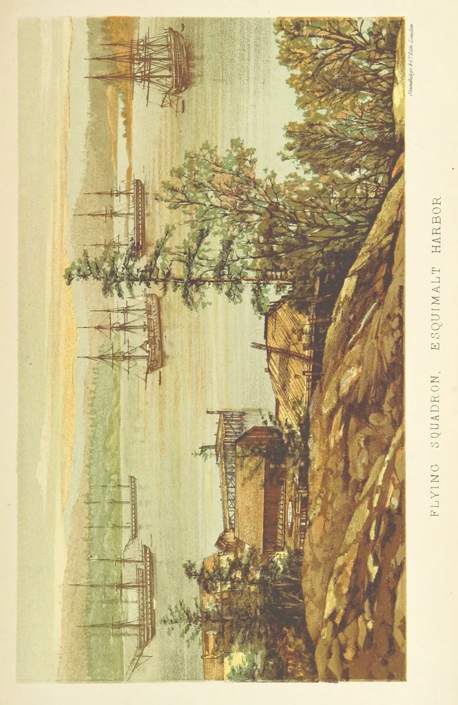 An illustration from The Cruise round the World of the Flying Squadron 1869-1870, under the command of Rear Admiral G. T. Phipps-Hornby. (Compiled by J. B., with the assistance of Henry Cavendish.) [With plates and a map, 1871, leaf 269