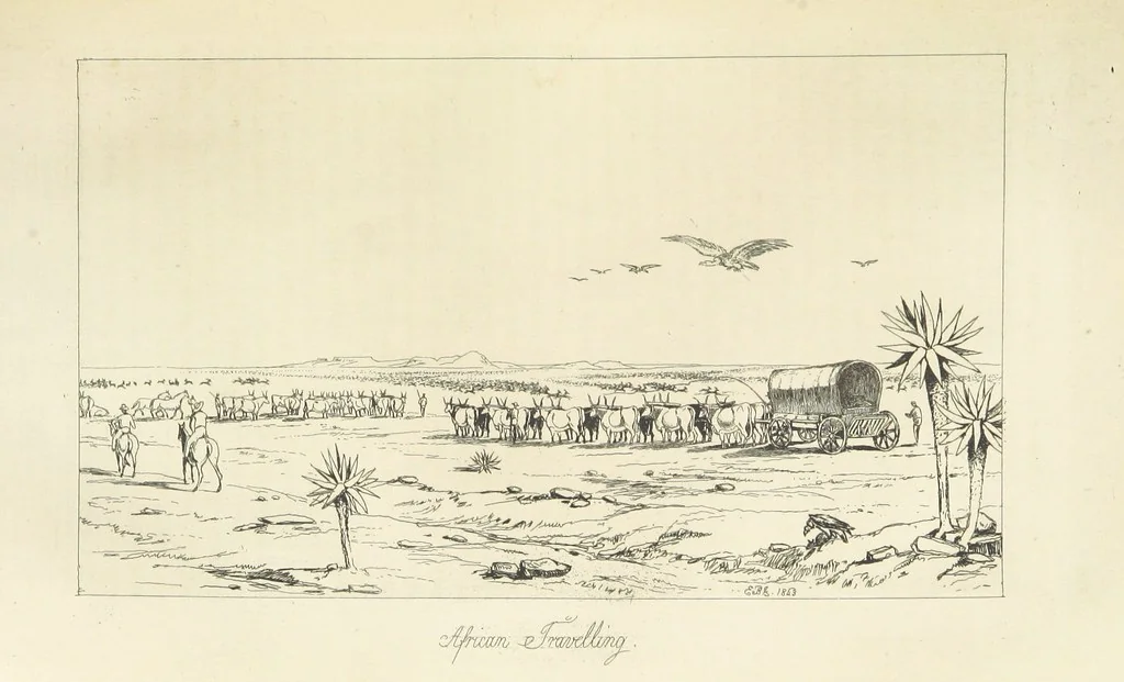 An illustration from A Narrative of a Visit to the Mauritius and South Africa ... Illustrated by two maps, sixteen etchings and twenty-eight wood-cuts, 1844, leaf 117