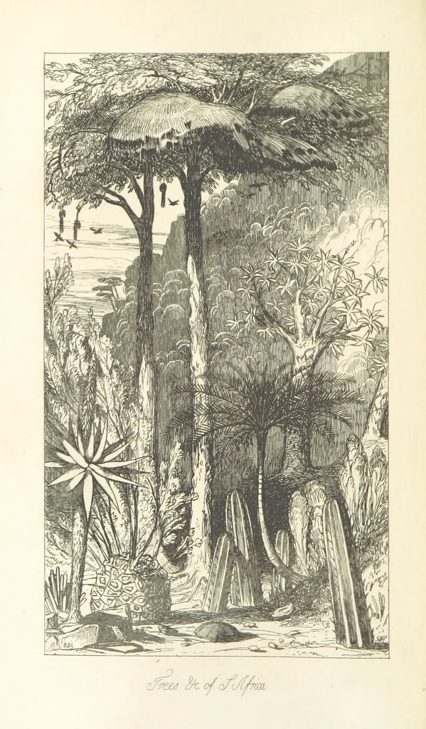 An illustration from A Narrative of a Visit to the Mauritius and South Africa ... Illustrated by two maps, sixteen etchings and twenty-eight wood-cuts, 1844, leaf 328