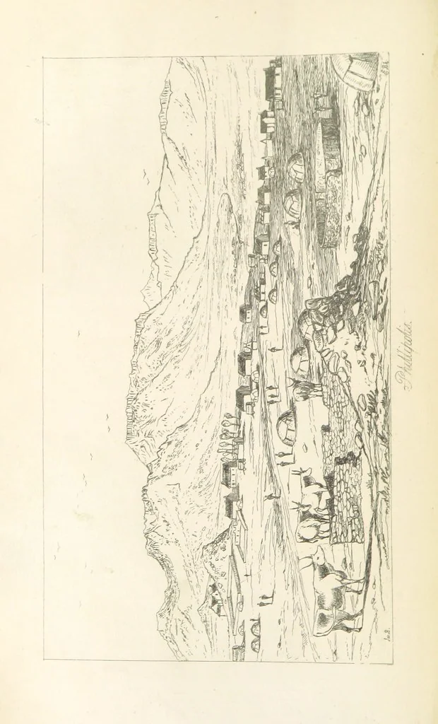 An illustration from A Narrative of a Visit to the Mauritius and South Africa ... Illustrated by two maps, sixteen etchings and twenty-eight wood-cuts, 1844, leaf 386