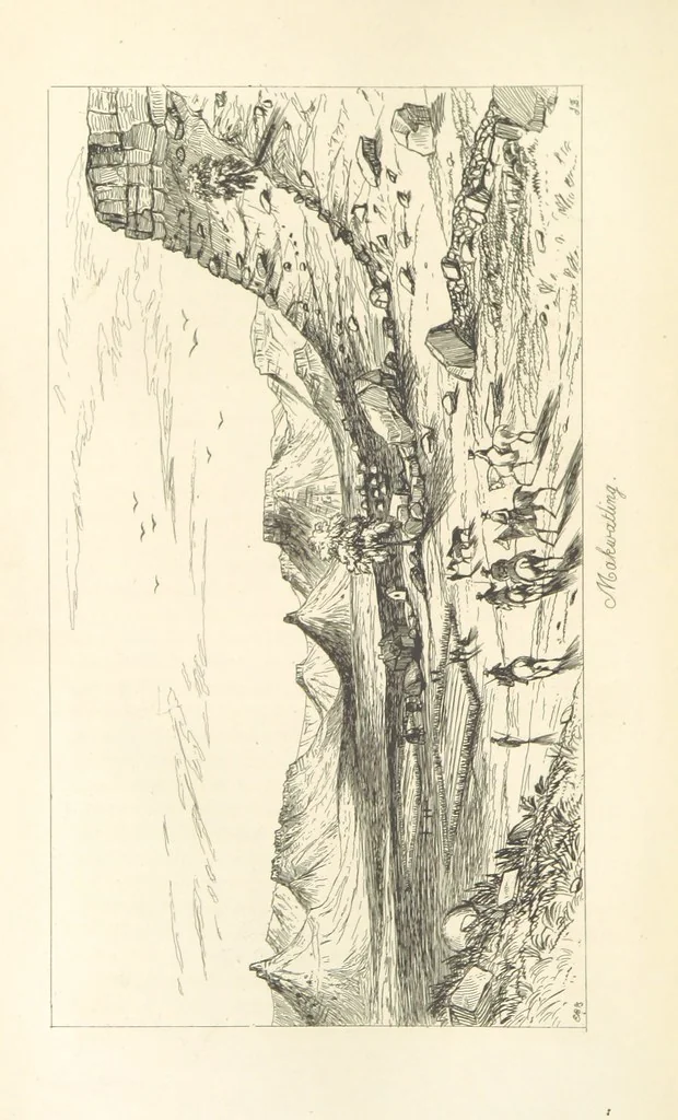 An illustration from A Narrative of a Visit to the Mauritius and South Africa ... Illustrated by two maps, sixteen etchings and twenty-eight wood-cuts, 1844, leaf 432