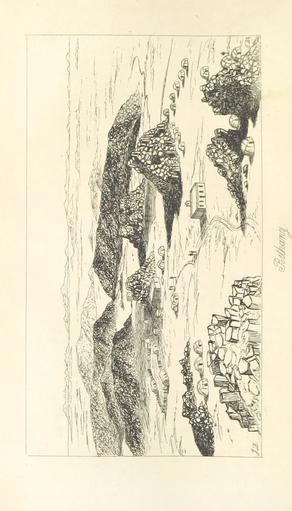An illustration from A Narrative of a Visit to the Mauritius and South Africa ... Illustrated by two maps, sixteen etchings and twenty-eight wood-cuts, 1844, leaf 468