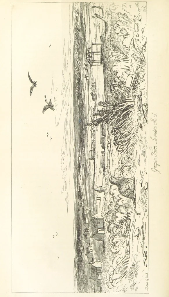 An illustration from A Narrative of a Visit to the Mauritius and South Africa ... Illustrated by two maps, sixteen etchings and twenty-eight wood-cuts, 1844, leaf 496