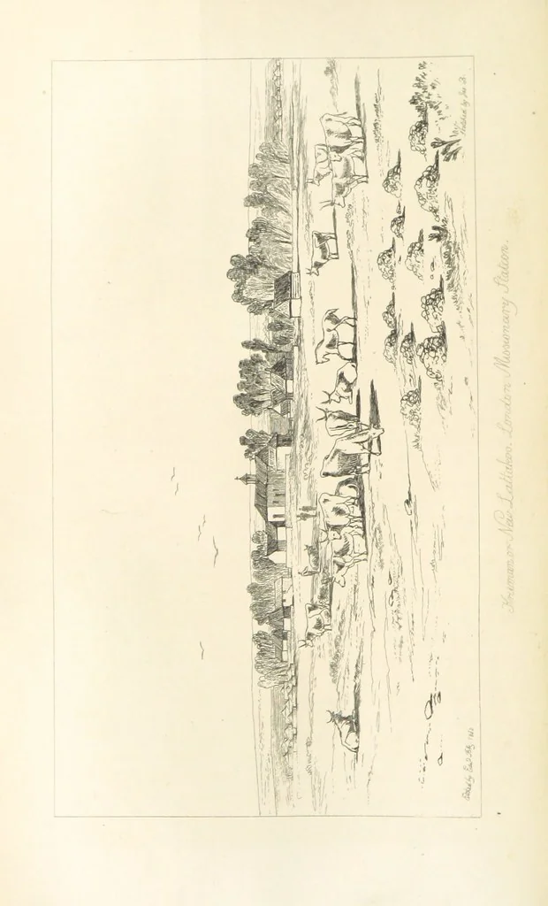 An illustration from A Narrative of a Visit to the Mauritius and South Africa ... Illustrated by two maps, sixteen etchings and twenty-eight wood-cuts, 1844, leaf 506