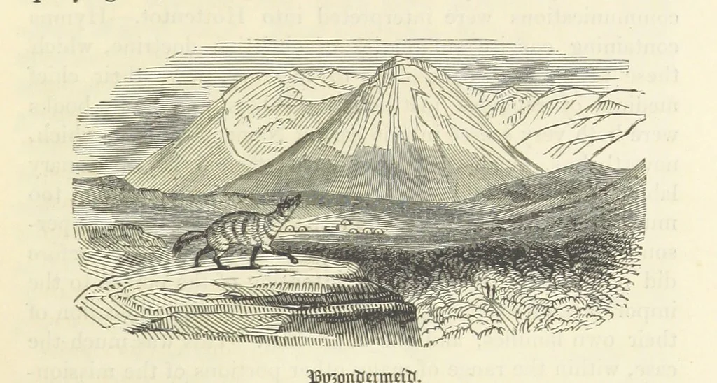An illustration from A Narrative of a Visit to the Mauritius and South Africa ... Illustrated by two maps, sixteen etchings and twenty-eight wood-cuts, 1844, leaf 597