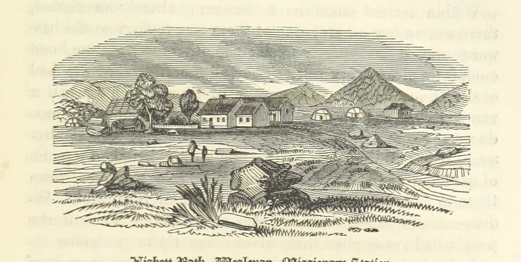 An illustration from A Narrative of a Visit to the Mauritius and South Africa ... Illustrated by two maps, sixteen etchings and twenty-eight wood-cuts, 1844, leaf 603
