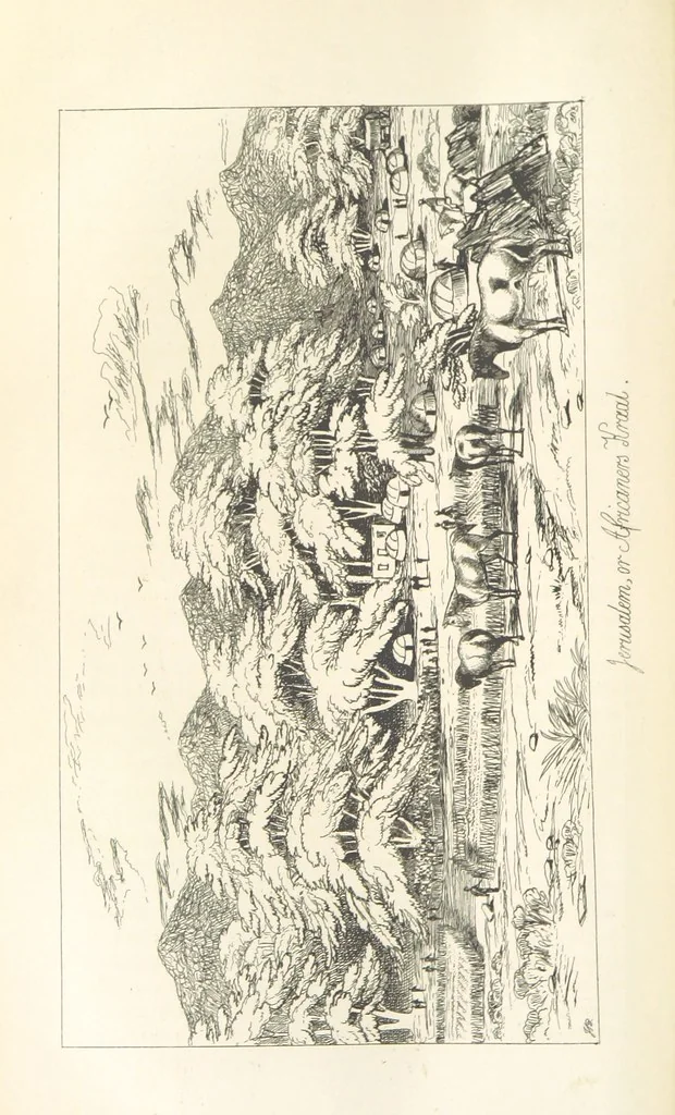 An illustration from A Narrative of a Visit to the Mauritius and South Africa ... Illustrated by two maps, sixteen etchings and twenty-eight wood-cuts, 1844, leaf 614