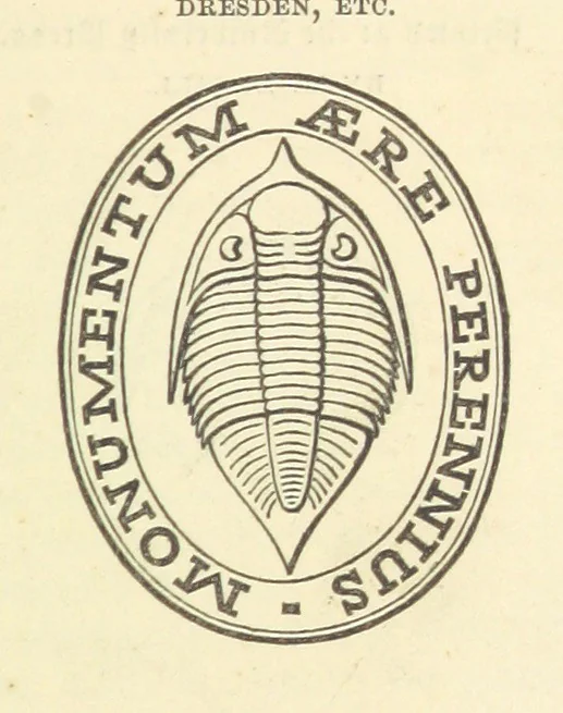 An illustration from Figures of Characteristic British Fossils: with descriptive remarks. vol. 1. Palæozoic, 1867, leaf 15