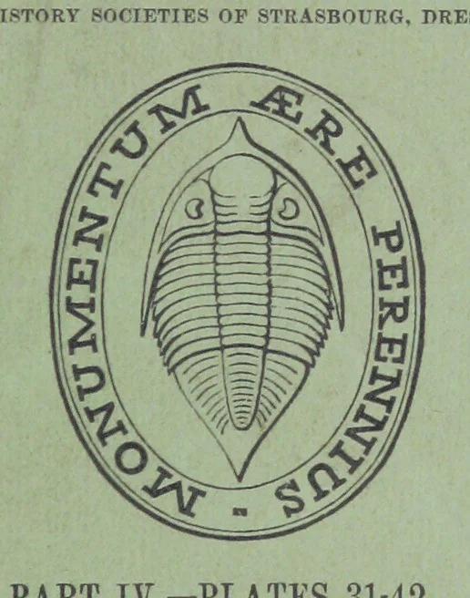 An illustration from Figures of Characteristic British Fossils: with descriptive remarks. vol. 1. Palæozoic, 1867, leaf 233
