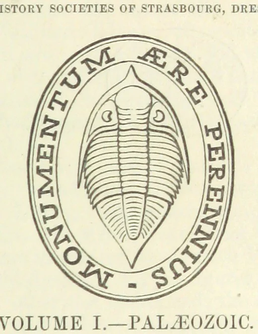An illustration from Figures of Characteristic British Fossils: with descriptive remarks. vol. 1. Palæozoic, 1867, leaf 7