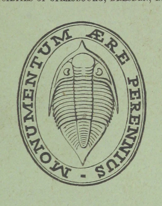 An illustration from Figures of Characteristic British Fossils: with descriptive remarks. vol. 1. Palæozoic, 1867, leaf 89