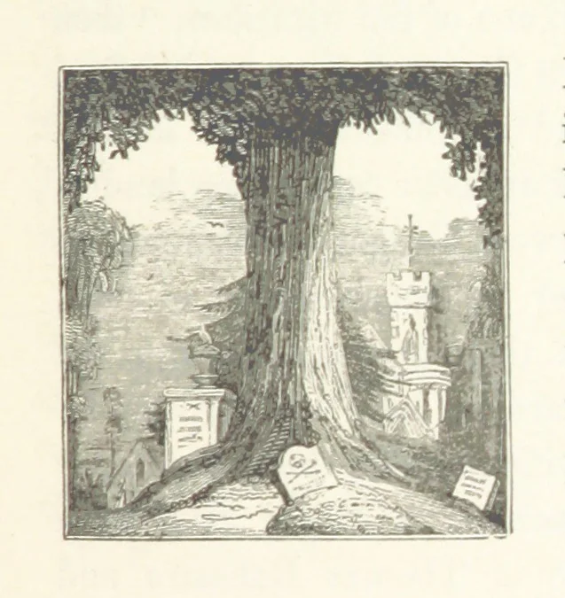 An illustration from History of the County Palatine and Duchy of Lancaster ... The biographical department by W. R. Whatton, Esq. (History of the cotton manufacture [by Edward Baines Jun.]) [With plates, 1836, leaf 471