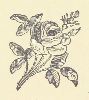 An illustration from History of the County Palatine and Duchy of Lancaster ... The biographical department by W. R. Whatton, Esq. (History of the cotton manufacture [by Edward Baines Jun.]) [With plates, 1888, leaf 14