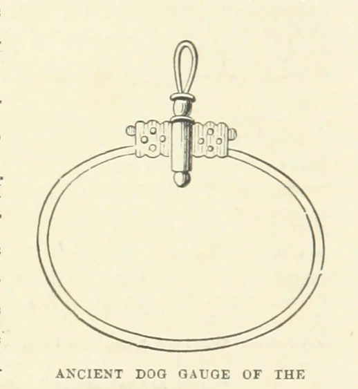 An illustration from History of the County Palatine and Duchy of Lancaster ... The biographical department by W. R. Whatton, Esq. (History of the cotton manufacture [by Edward Baines Jun.]) [With plates, 1888, leaf 443