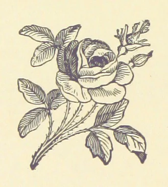 An illustration from History of the County Palatine and Duchy of Lancaster ... The biographical department by W. R. Whatton, Esq. (History of the cotton manufacture [by Edward Baines Jun.]) [With plates, 1888, leaf 16