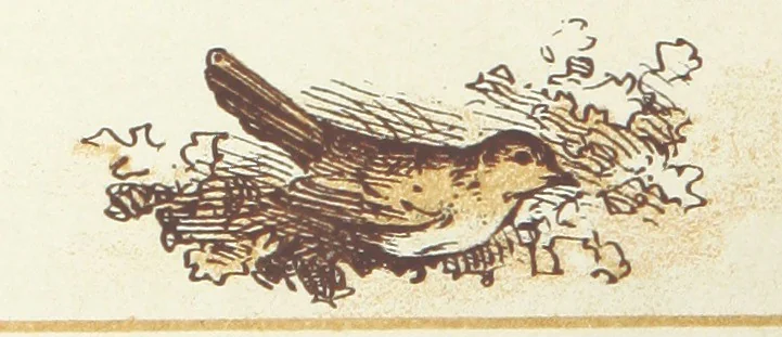 An illustration from The Merry Ballads of the Olden Time, illustrated in pictures & rhyme, 1880, leaf 110