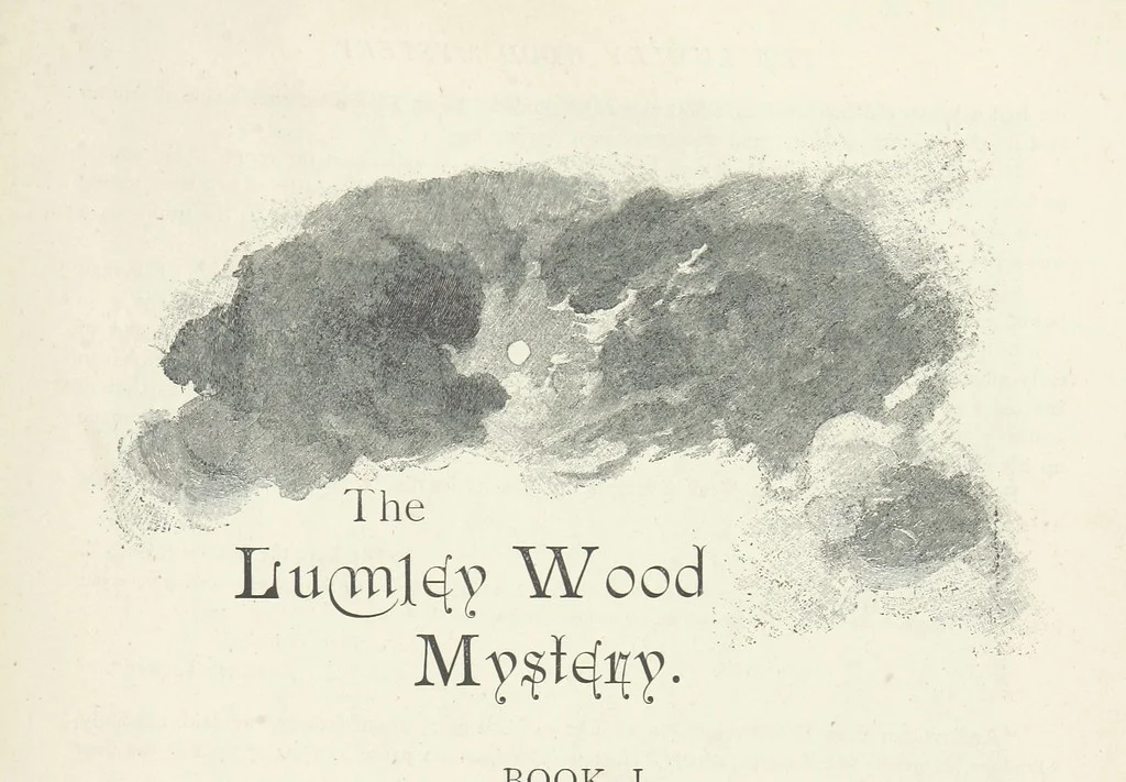 An illustration from The Lumley Wood Mystery ... Illustrated by J. B. Partridge, 1890, leaf 11