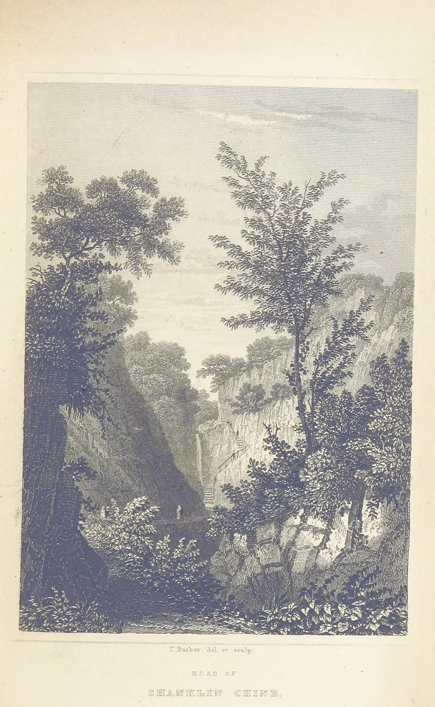 An illustration from Barber's Picturesque Illustration of the Isle of Wight, etc. accompanied by historical and topographical descriptions, 1845, leaf 113