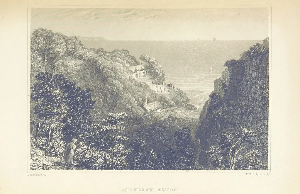 An illustration from Barber's Picturesque Illustration of the Isle of Wight, etc. accompanied by historical and topographical descriptions, 1845, leaf 115