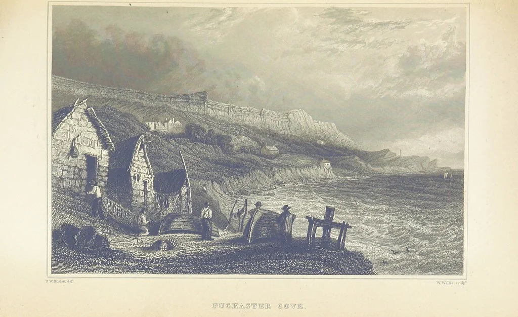 An illustration from Barber's Picturesque Illustration of the Isle of Wight, etc. accompanied by historical and topographical descriptions, 1845, leaf 141
