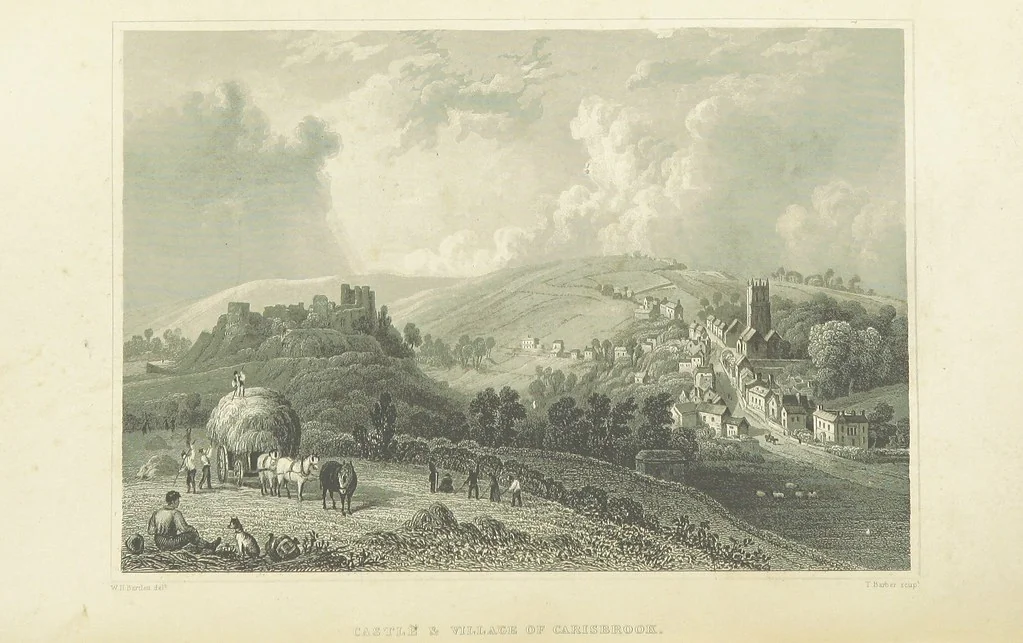 An illustration from With a geological map, 1846, leaf 114