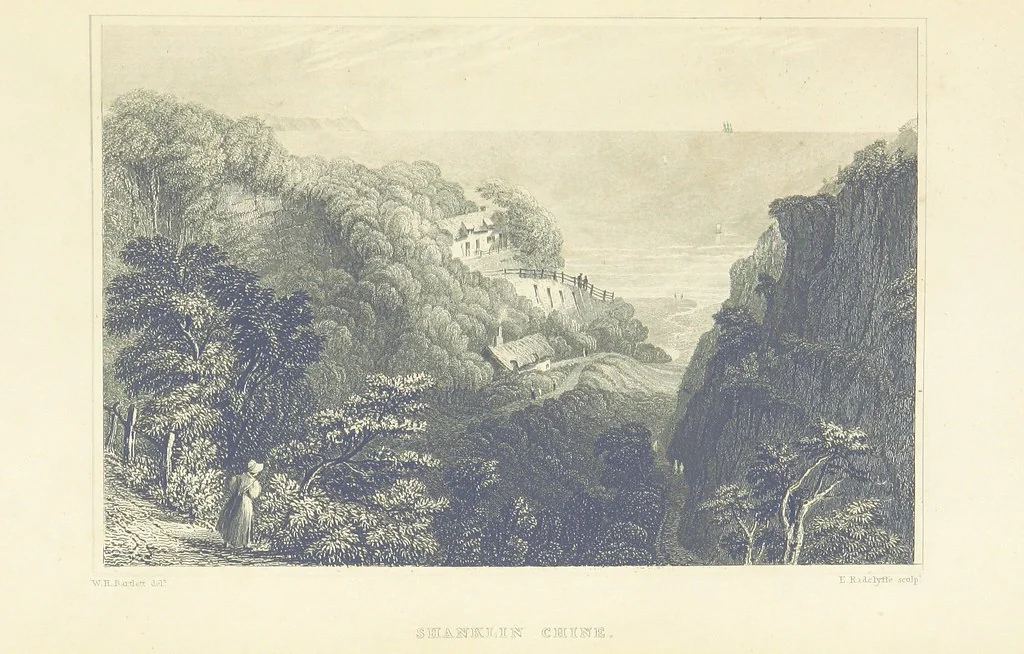 An illustration from With a geological map, 1846, leaf 143