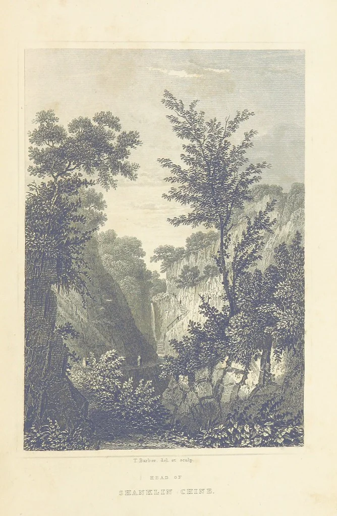 An illustration from With a geological map, 1846, leaf 151