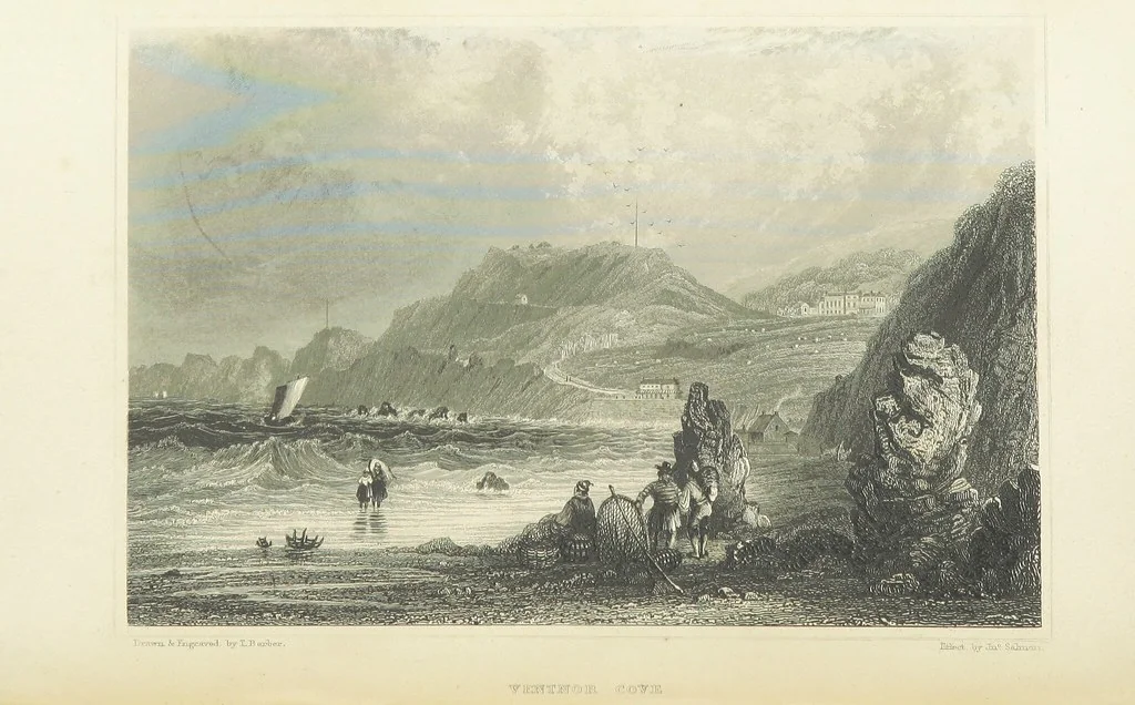 An illustration from With a geological map, 1846, leaf 176