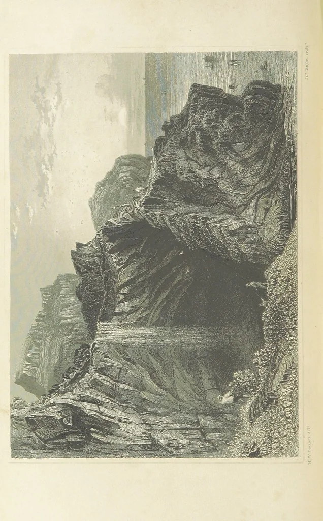 An illustration from With a geological map, 1846, leaf 202