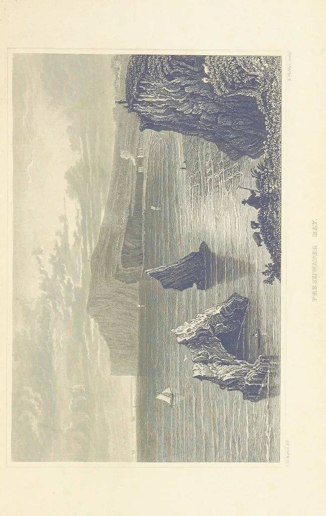 An illustration from With a geological map, 1846, leaf 225