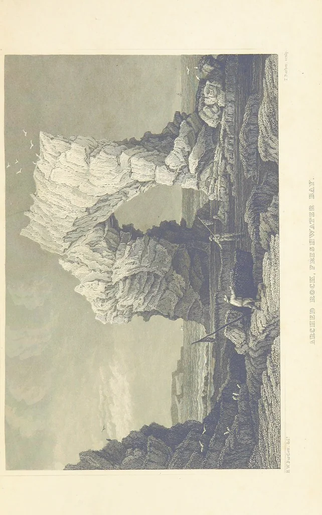An illustration from With a geological map, 1846, leaf 229
