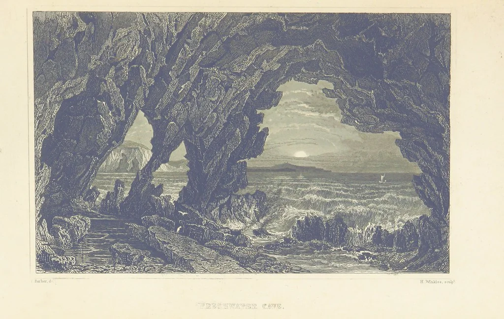 An illustration from With a geological map, 1846, leaf 239