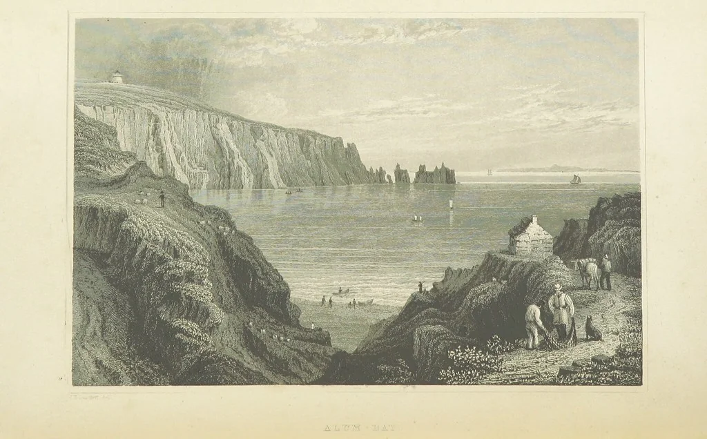 An illustration from With a geological map, 1846, leaf 260