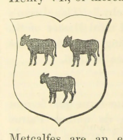An illustration from Historical and Topographical Account of Wensleydale ... Illustrated ... Second edition [of “The Three Days of Wensleydale”, 1856, leaf 270
