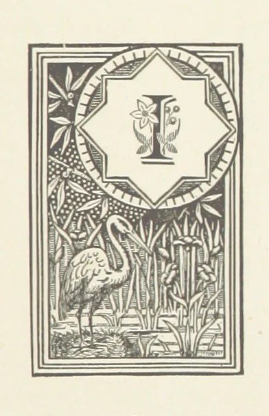 An illustration from The City of Dundee illustrated: containing reminiscences and remarks ... relating to Dundee and neighbourhood, and to certain events ... during the last sixty years, and relating to local government in Scotland ... With views, etc, 1890, leaf 157