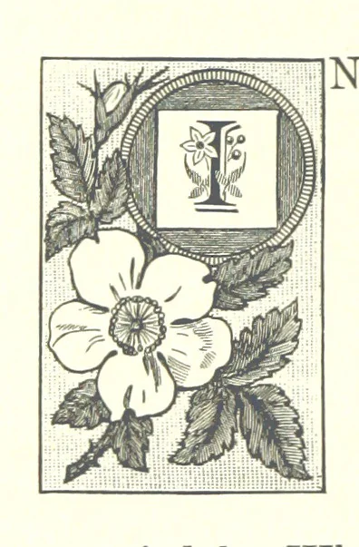 An illustration from The City of Dundee illustrated: containing reminiscences and remarks ... relating to Dundee and neighbourhood, and to certain events ... during the last sixty years, and relating to local government in Scotland ... With views, etc, 1890, leaf 42