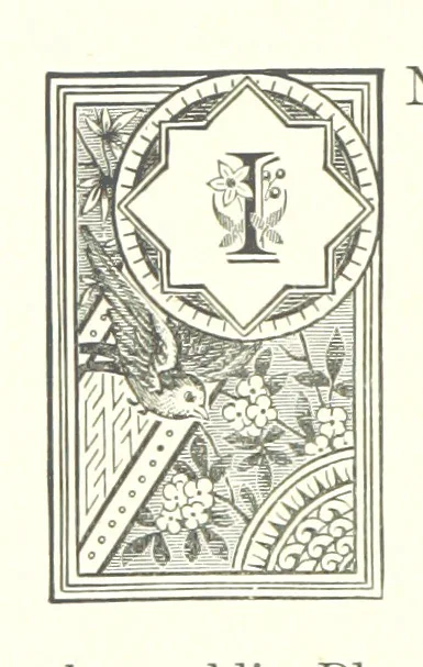 An illustration from The City of Dundee illustrated: containing reminiscences and remarks ... relating to Dundee and neighbourhood, and to certain events ... during the last sixty years, and relating to local government in Scotland ... With views, etc, 1890, leaf 64