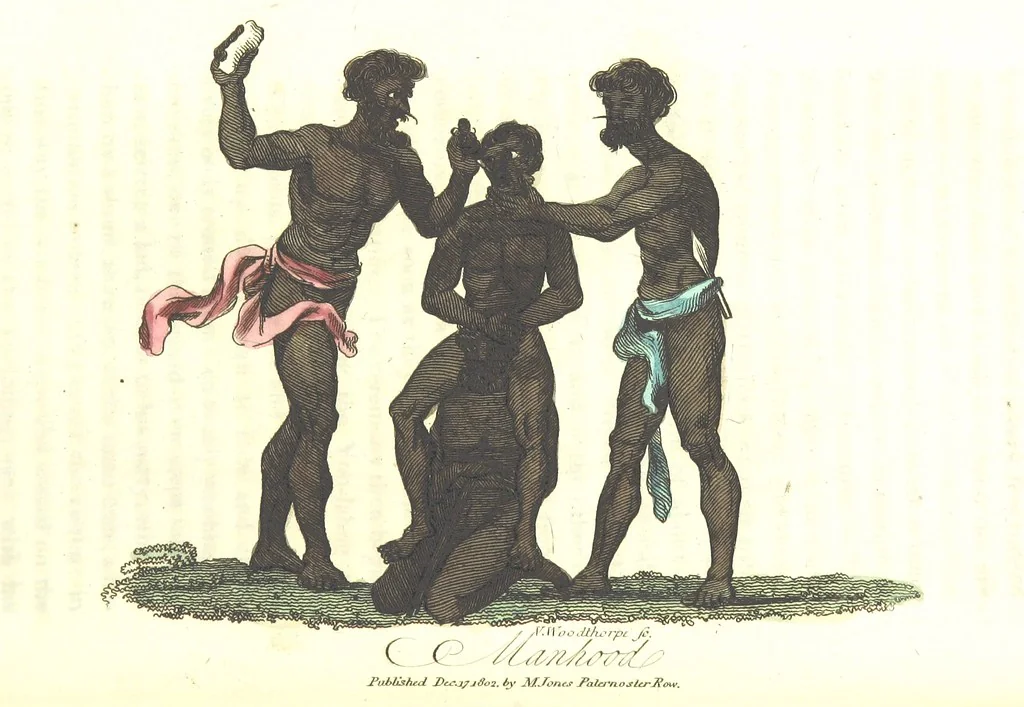 An illustration from The History of New South Wales, including Botany Bay, Port Jackson, Pamaratta [sic], Sydney, and all its dependancies ... with the customs and manners of the natives, and an account of the English colony, from its foundation to the present time ... Enriched with ... coloured prints, 1810, leaf 34