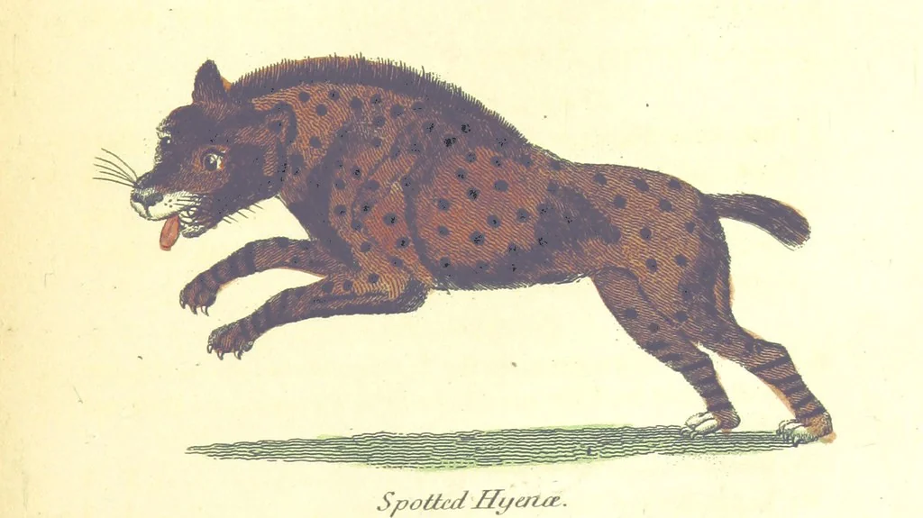 An illustration from The History of New South Wales, including Botany Bay, Port Jackson, Pamaratta [sic], Sydney, and all its dependancies ... with the customs and manners of the natives, and an account of the English colony, from its foundation to the present time ... Enriched with ... coloured prints, 1810, leaf 467