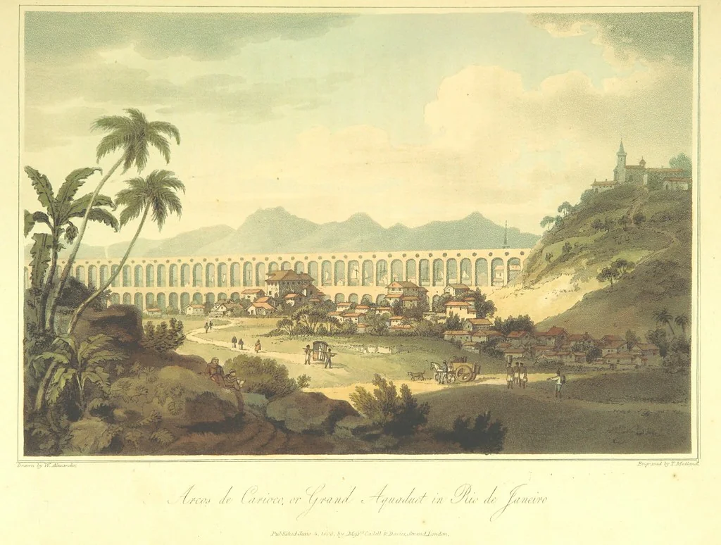 An illustration from A Voyage to Cochin China, in the years 1792, and 1793: containing a general view of the productions, and political importance of this kingdom; and also of such European settlements as were visited on the voyage, with sketches of the manners, character, and condition of their inhabitants. To which is annexed an account of a journey, made in the years 1801 and 1802, to the residence of the chief of the Booshuana nation ... from a manuscript journal [by - Truter] with a chart of the route, etc, 1806, leaf 115