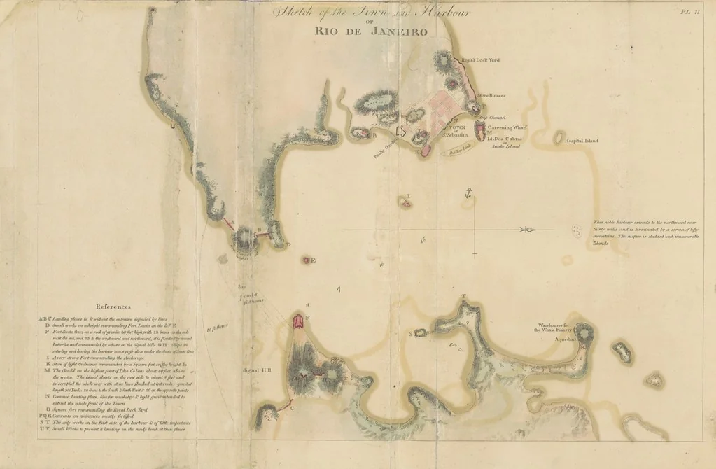An illustration from A Voyage to Cochin China, in the years 1792, and 1793: containing a general view of the productions, and political importance of this kingdom; and also of such European settlements as were visited on the voyage, with sketches of the manners, character, and condition of their inhabitants. To which is annexed an account of a journey, made in the years 1801 and 1802, to the residence of the chief of the Booshuana nation ... from a manuscript journal [by - Truter] with a chart of the route, etc, 1806, leaf 172