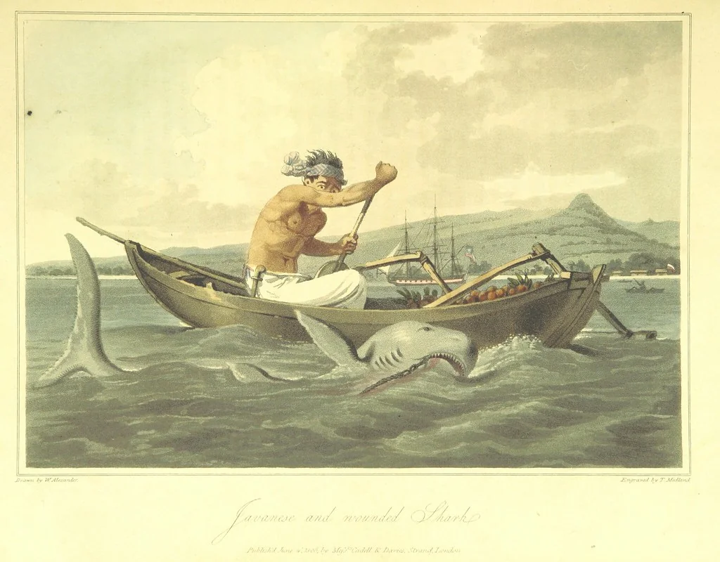 An illustration from A Voyage to Cochin China, in the years 1792, and 1793: containing a general view of the productions, and political importance of this kingdom; and also of such European settlements as were visited on the voyage, with sketches of the manners, character, and condition of their inhabitants. To which is annexed an account of a journey, made in the years 1801 and 1802, to the residence of the chief of the Booshuana nation ... from a manuscript journal [by - Truter] with a chart of the route, etc, 1806, leaf 203