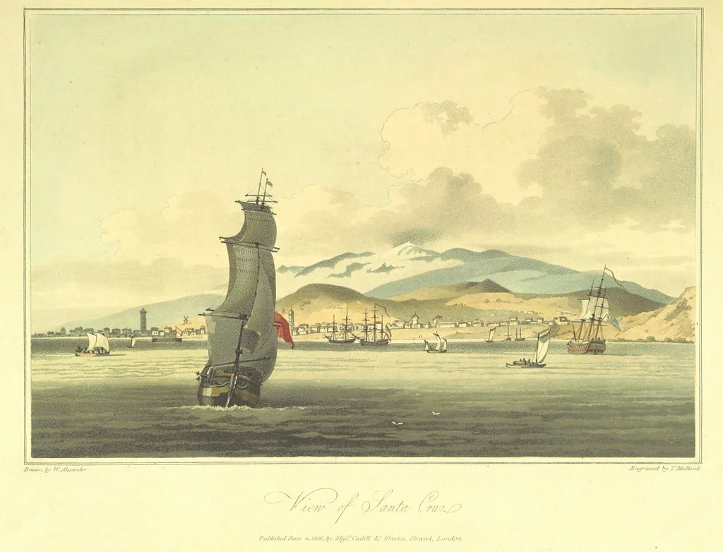 An illustration from A Voyage to Cochin China, in the years 1792, and 1793: containing a general view of the productions, and political importance of this kingdom; and also of such European settlements as were visited on the voyage, with sketches of the manners, character, and condition of their inhabitants. To which is annexed an account of a journey, made in the years 1801 and 1802, to the residence of the chief of the Booshuana nation ... from a manuscript journal [by - Truter] with a chart of the route, etc, 1806, leaf 63