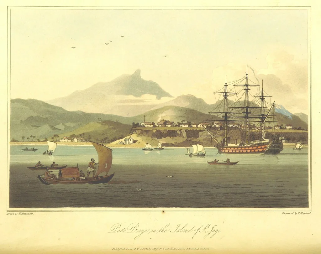 An illustration from A Voyage to Cochin China, in the years 1792, and 1793: containing a general view of the productions, and political importance of this kingdom; and also of such European settlements as were visited on the voyage, with sketches of the manners, character, and condition of their inhabitants. To which is annexed an account of a journey, made in the years 1801 and 1802, to the residence of the chief of the Booshuana nation ... from a manuscript journal [by - Truter] with a chart of the route, etc, 1806, leaf 98