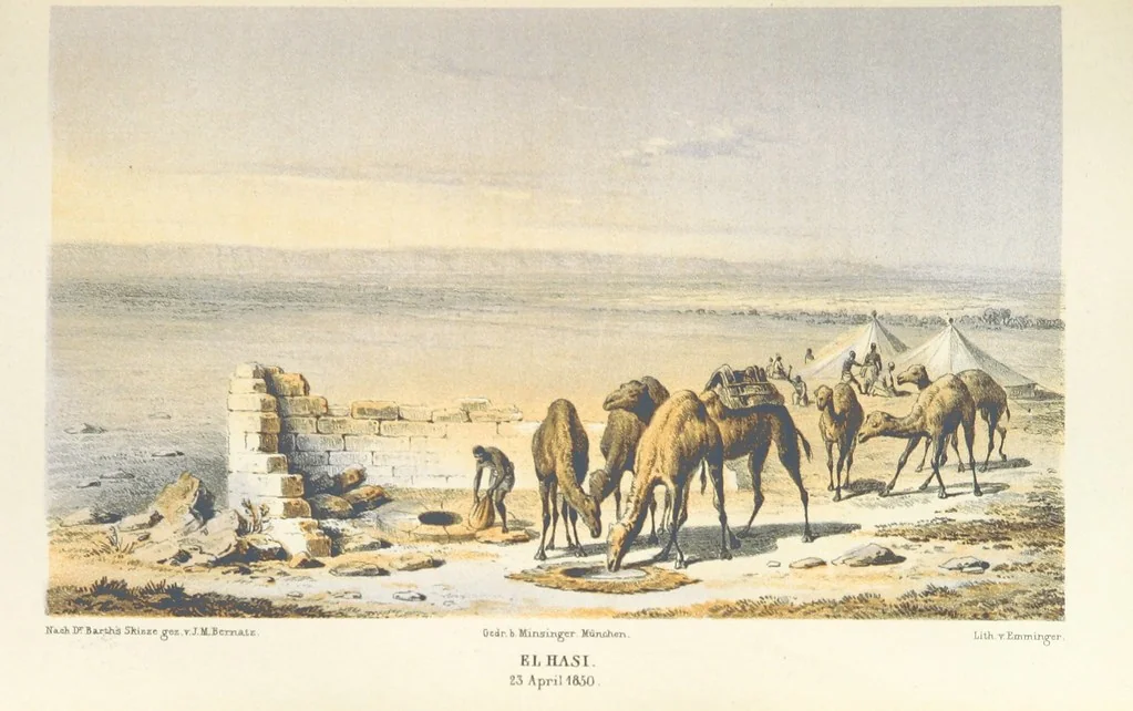 An illustration from Reisen und Entdeckungen in Nord- und Central-Afrika in den Jahren 1849 bis 1855. Von Dr. H. Barth. Tagebuch seiner im Auftrag der Brittischen Regierung unternommenen Reise ... Mit Karten, Holzschnitten und Bildern. L.P, 1857, leaf 209