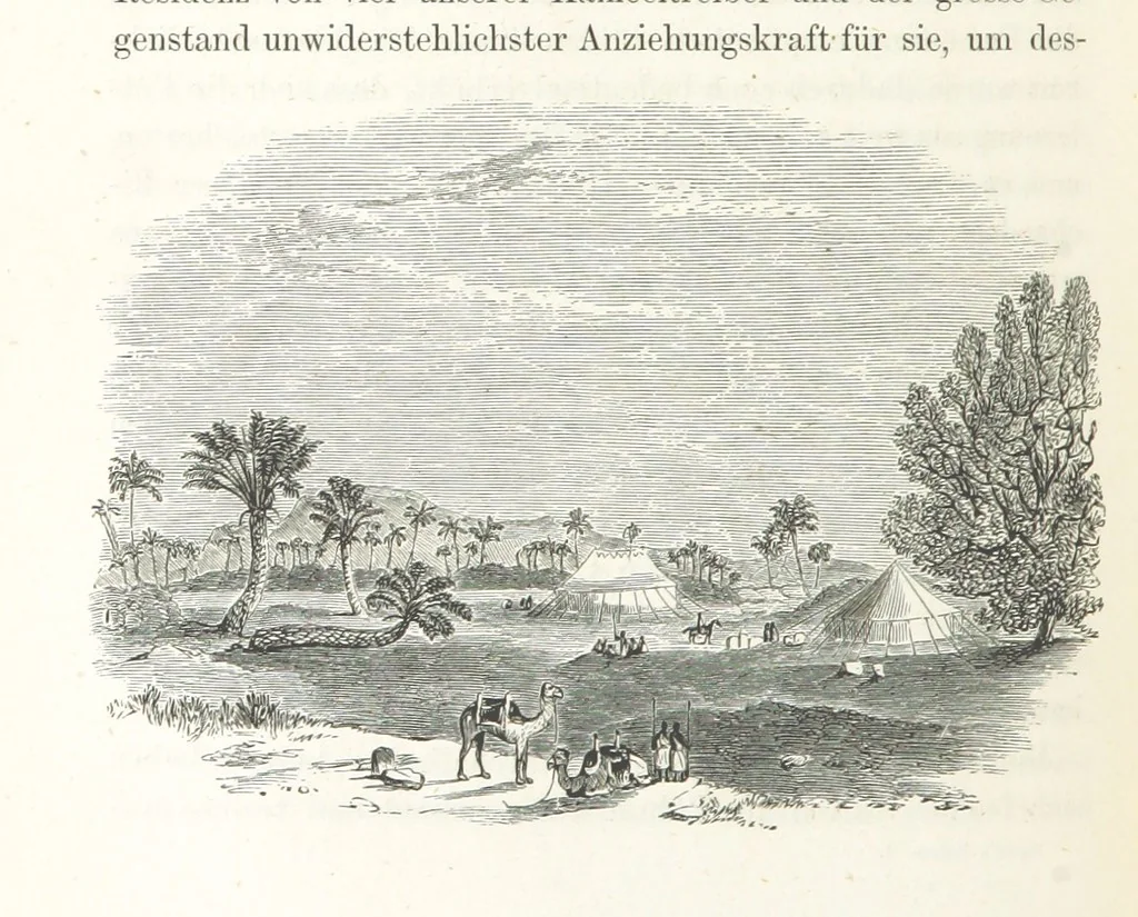 An illustration from Reisen und Entdeckungen in Nord- und Central-Afrika in den Jahren 1849 bis 1855. Von Dr. H. Barth. Tagebuch seiner im Auftrag der Brittischen Regierung unternommenen Reise ... Mit Karten, Holzschnitten und Bildern. L.P, 1857, leaf 224