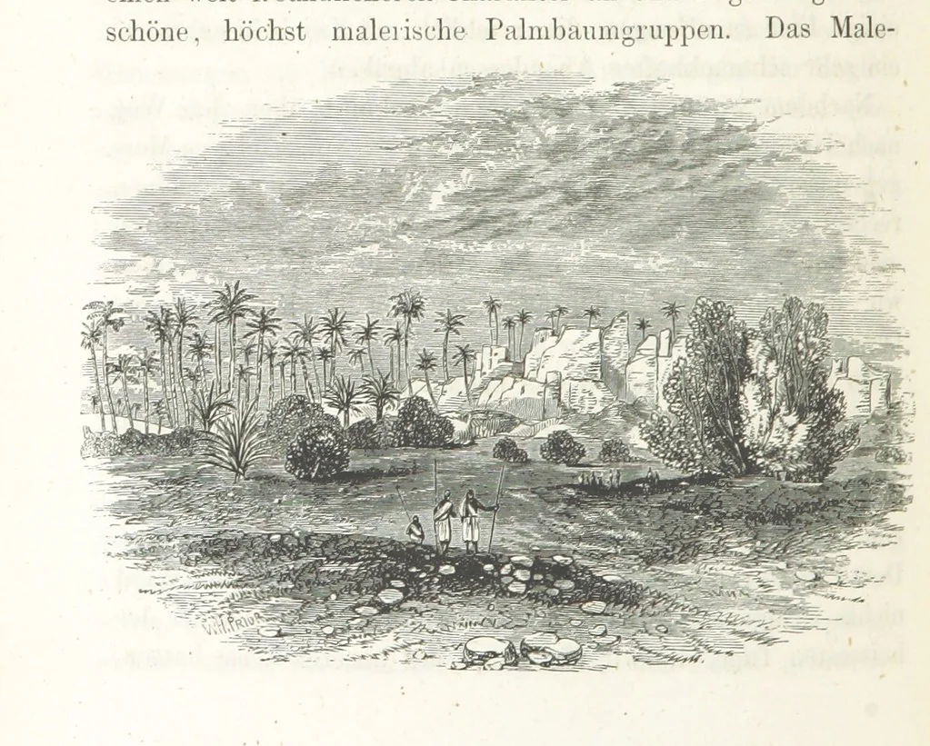 An illustration from Reisen und Entdeckungen in Nord- und Central-Afrika in den Jahren 1849 bis 1855. Von Dr. H. Barth. Tagebuch seiner im Auftrag der Brittischen Regierung unternommenen Reise ... Mit Karten, Holzschnitten und Bildern. L.P, 1857, leaf 248